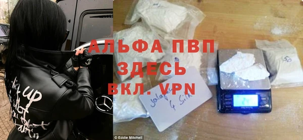 хмурый Инсар