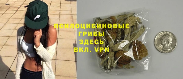 хмурый Инсар
