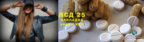 хмурый Инсар