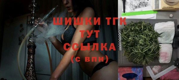 хмурый Инсар