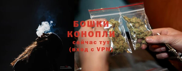 прущие крисы Инта
