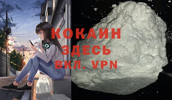 хмурый Инсар