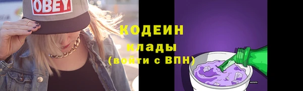 хмурый Инсар
