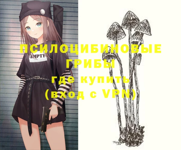 хмурый Инсар