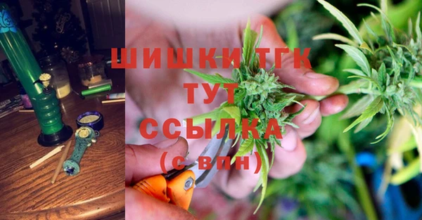 прущие крисы Инта