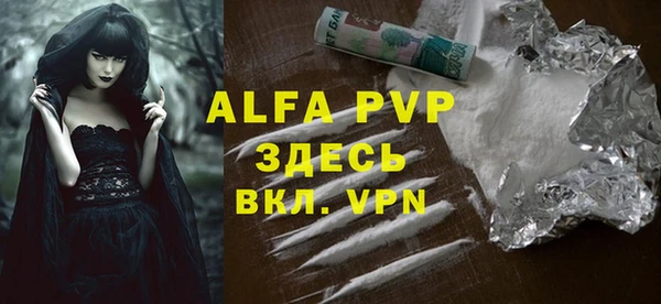 хмурый Инсар