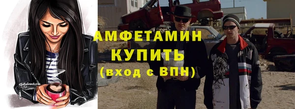 хмурый Инсар